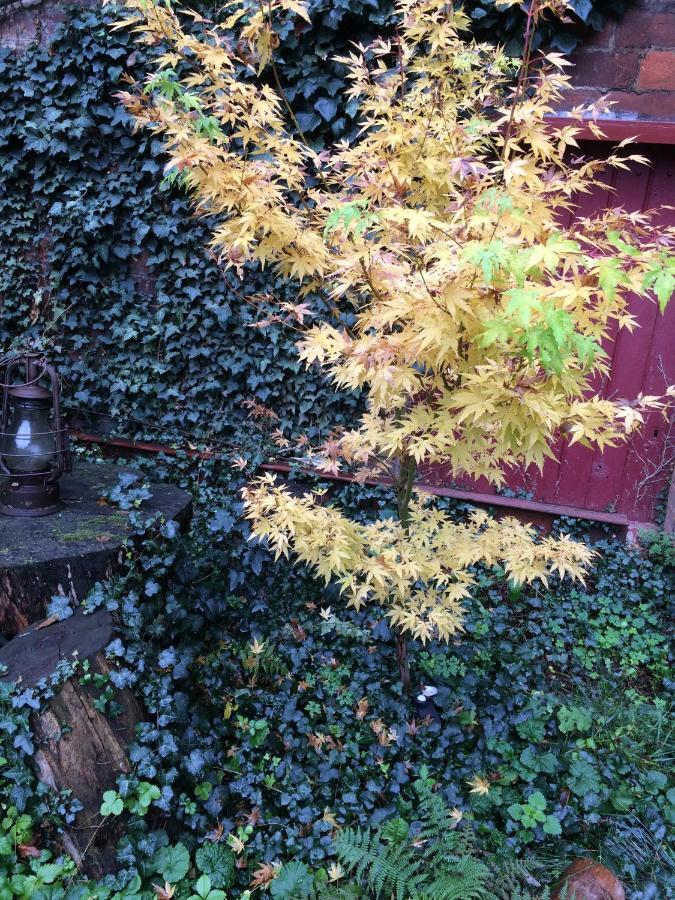Minshuku Chambres D'Hotes Japonaises Thiers Exterior foto